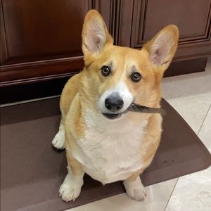 Meet your Posher, Robert